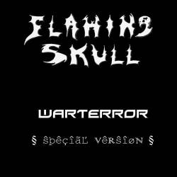 Flaming Skull : WarTerror